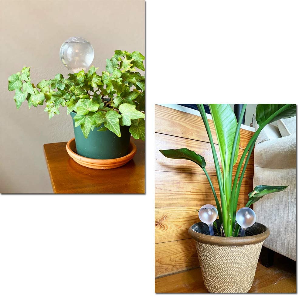 Automatic Plant Water Feeder S - Drip Irrigation System Automatic Kit review and price