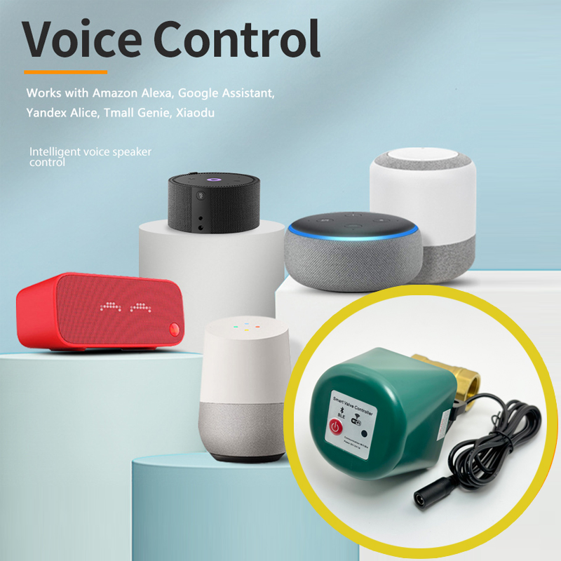 Tuya Zigbee Smart Valve 1/2 3/ - Tuya Zigbee Garden Irrigation Controller review and price