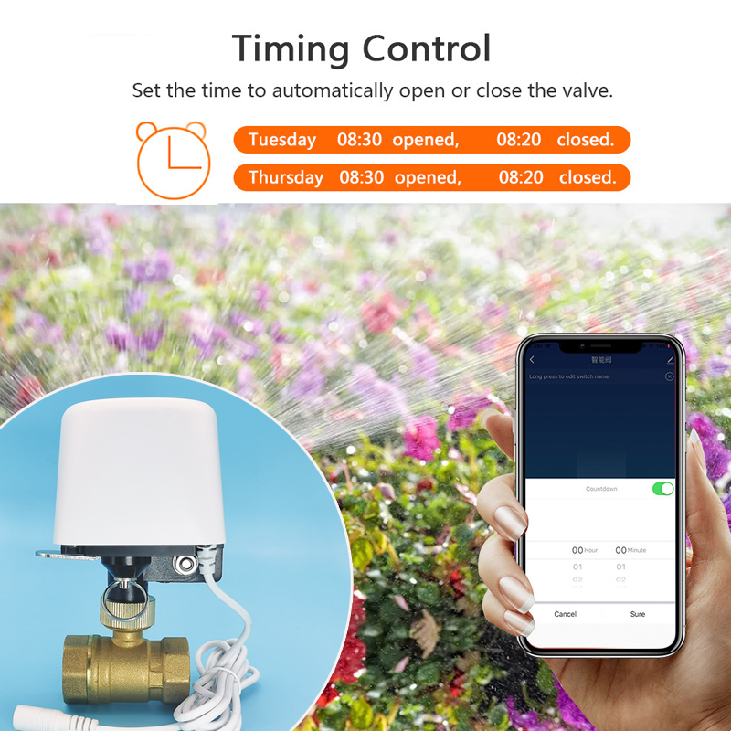 Tuya Wifi Zigbee Water Valve G - Tuya Zigbee Garden Irrigation Controller review and price